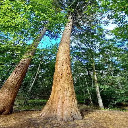 Birgit, Dom wakacyjny