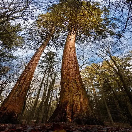 Birgit, Dom wakacyjny