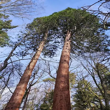 Birgit, Dom wakacyjny