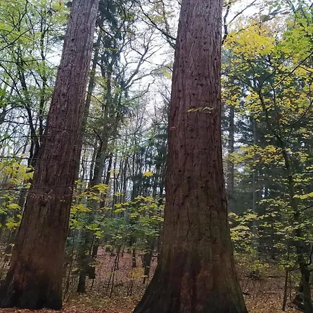 Birgit, Dom wakacyjny *