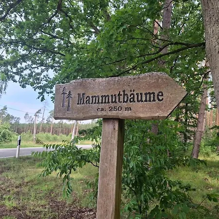 Exklusive Wohnung Birgit Mit Sauna In Wendorf *