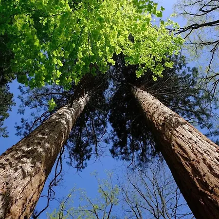 Dom wakacyjny Birgit,