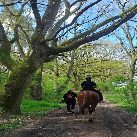 Birgit, Wendorf (Kuhlen-Wendorf)