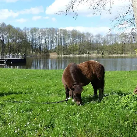 Dom wakacyjny Birgit, Wendorf (Kuhlen-Wendorf)