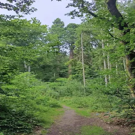 Birgit, Wendorf (Kuhlen-Wendorf)