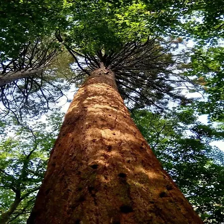 Birgit, * Wendorf (Kuhlen-Wendorf)